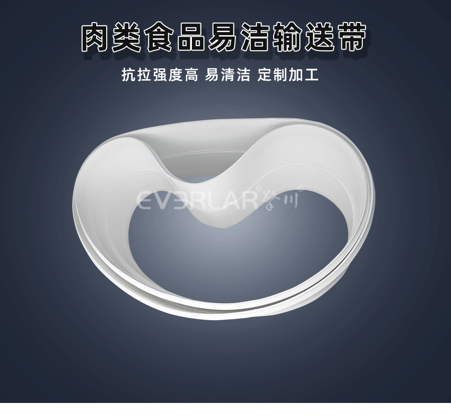 肉類食品易清潔<a href='http://ontimecarpet.com/shusongdai/' target='_blank'><u>輸送帶</u></a>詳情頁01